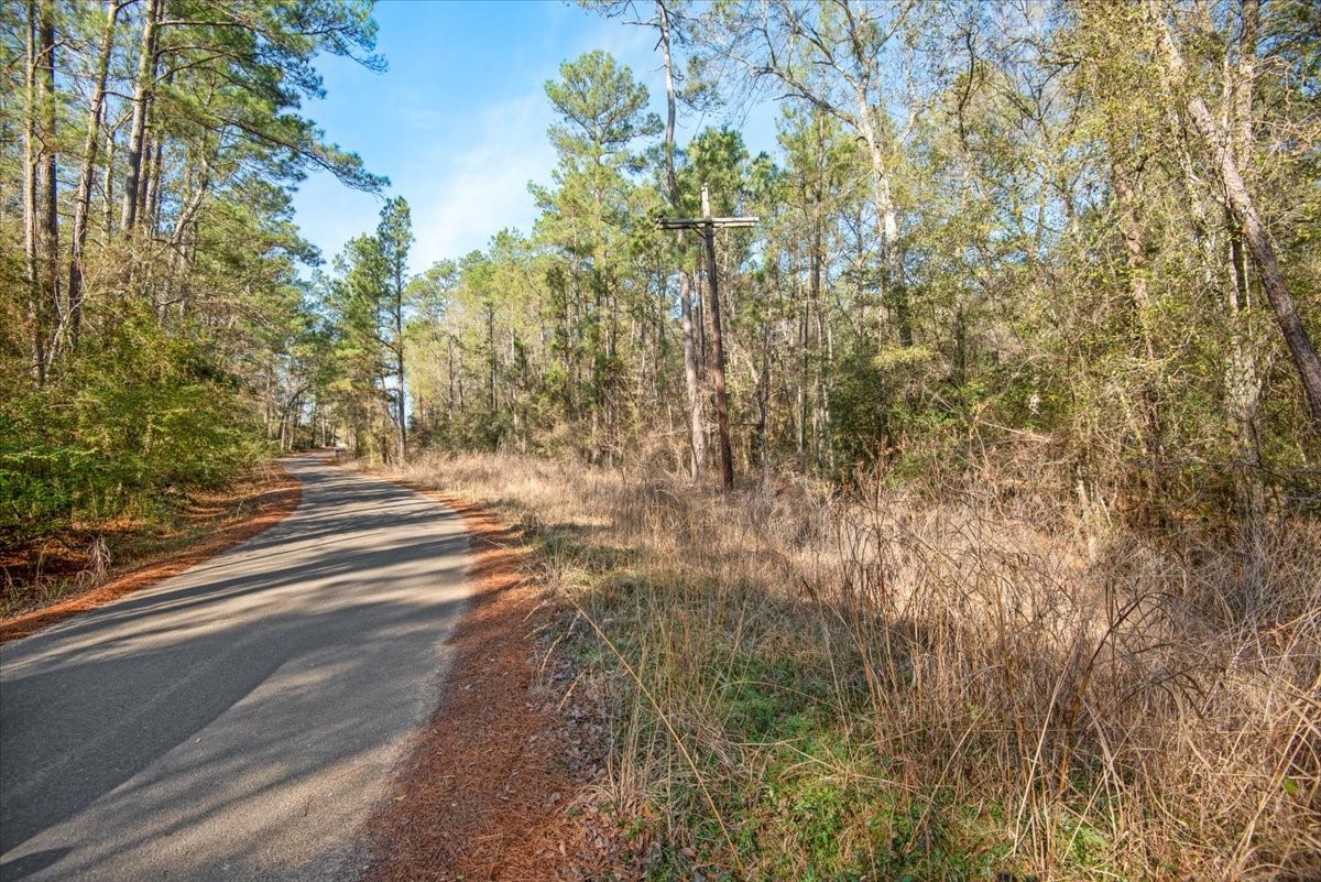 201 Rd Plantersville Tx 77363 Road Plantersville, TX 77363 - Photo 24 of 47