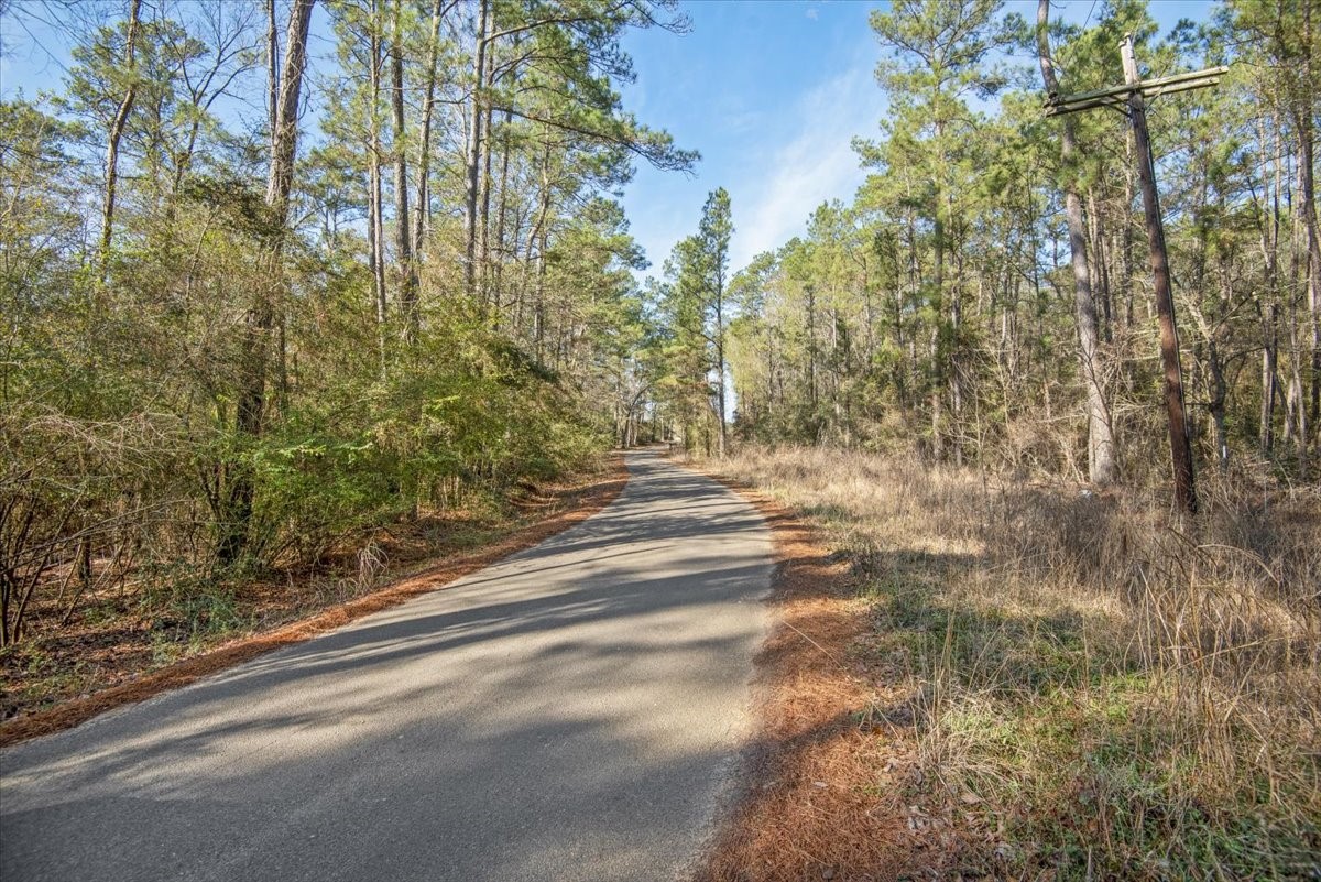 201 Rd Plantersville Tx 77363 Road Plantersville, TX 77363 - Photo 25 of 47