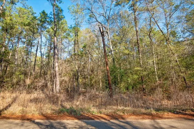 $2,350,000 | 201 Rd Plantersville Tx 77363 Road, Plantersville, TX 77363