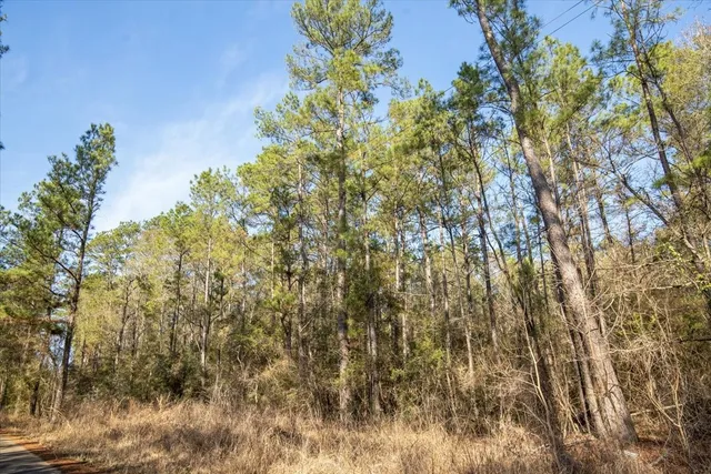 $2,350,000 | 201 Rd Plantersville Tx 77363 Road, Plantersville, TX 77363