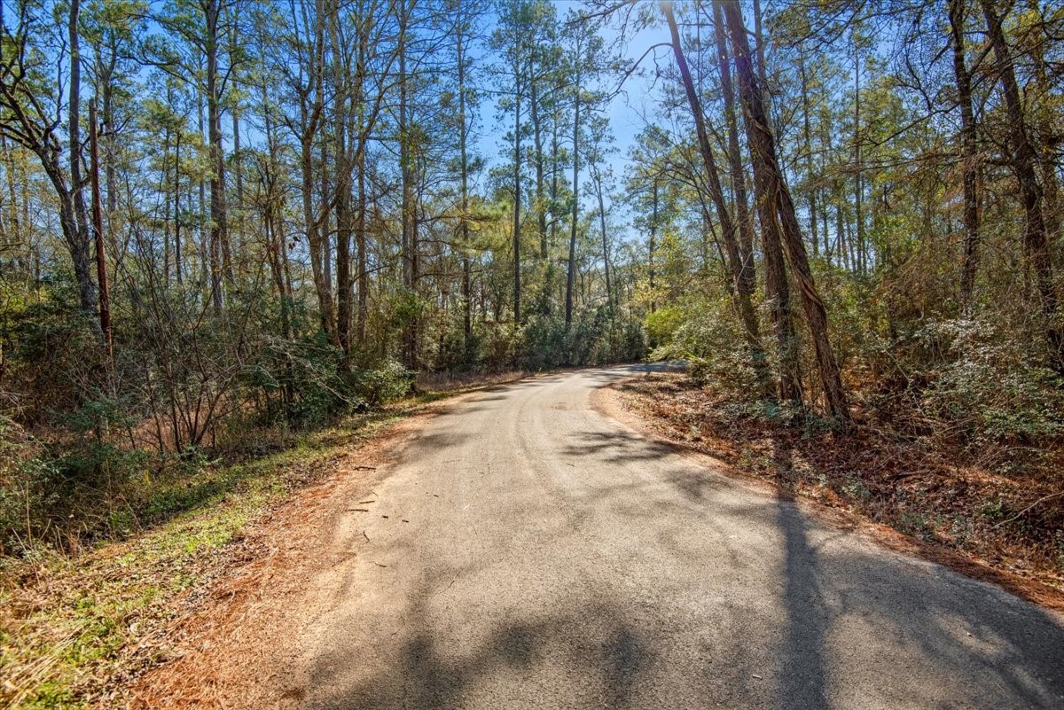 201 Rd Plantersville Tx 77363 Road Plantersville, TX 77363 - Photo 28 of 47