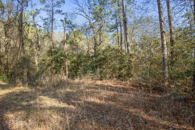 $2,350,000 | 201 Rd Plantersville Tx 77363 Road, Plantersville, TX 77363