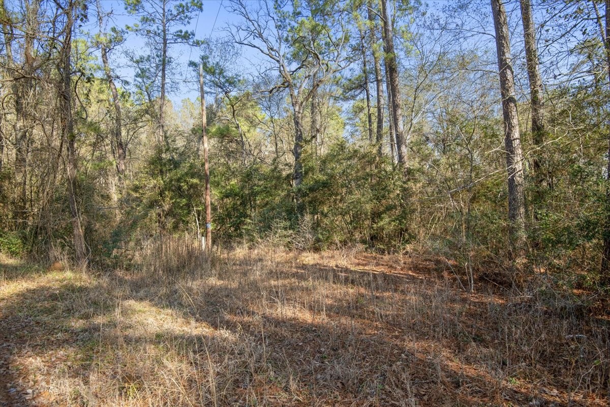 201 Rd Plantersville Tx 77363 Road Plantersville, TX 77363 - Photo 29 of 47