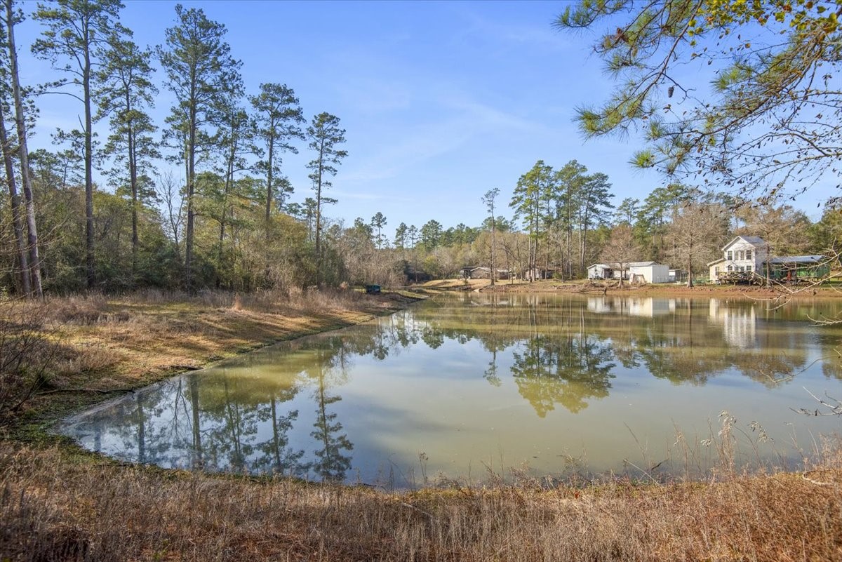 201 Rd Plantersville Tx 77363 Road Plantersville, TX 77363 - Photo 3 of 47 Subdivision Pond with walking trail