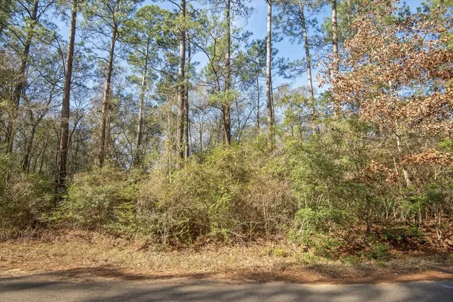 $2,350,000 | 201 Rd Plantersville Tx 77363 Road, Plantersville, TX 77363