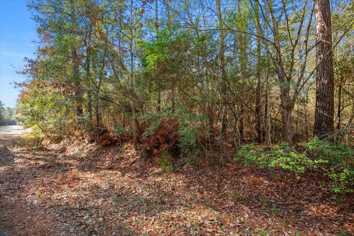 201 Rd Plantersville Tx 77363 Road Plantersville, TX 77363 - Photo 34 of 47