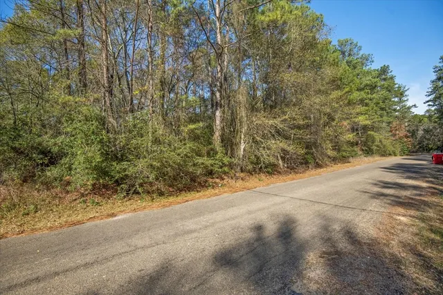 $2,350,000 | 201 Rd Plantersville Tx 77363 Road, Plantersville, TX 77363