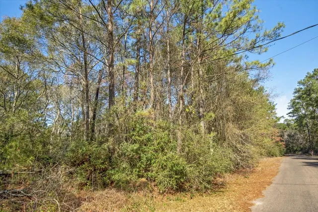 $2,350,000 | 201 Rd Plantersville Tx 77363 Road, Plantersville, TX 77363