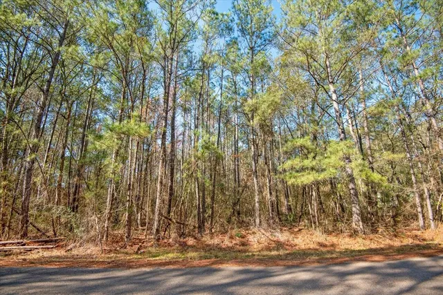 $2,350,000 | 201 Rd Plantersville Tx 77363 Road, Plantersville, TX 77363