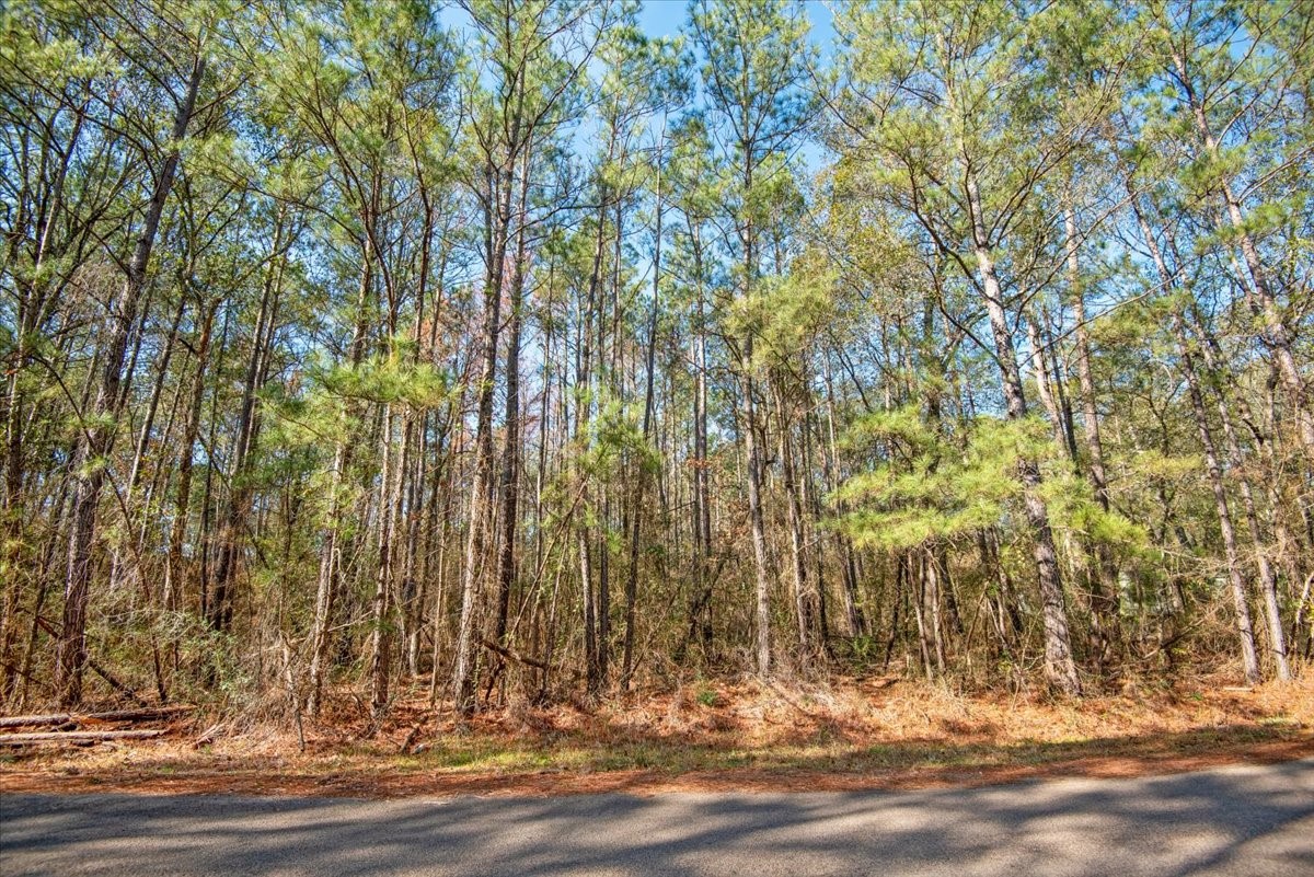 201 Rd Plantersville Tx 77363 Road Plantersville, TX 77363 - Photo 39 of 47