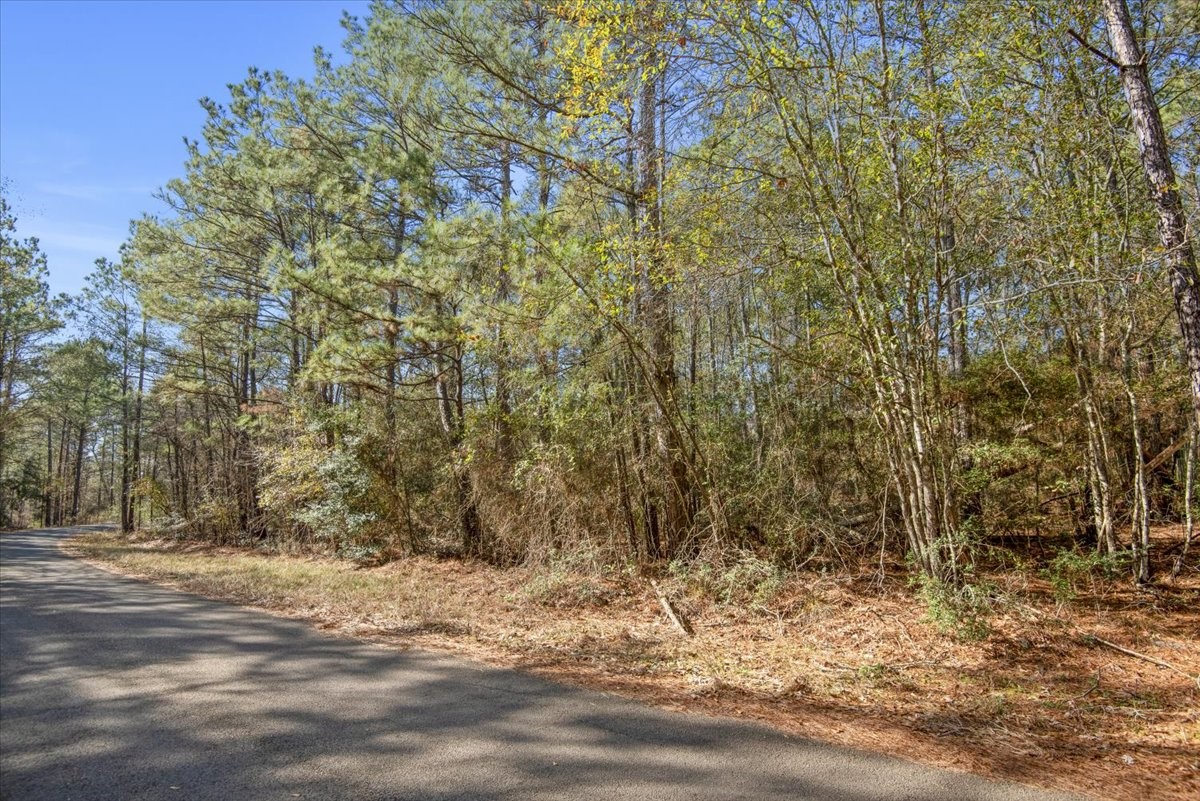 201 Rd Plantersville Tx 77363 Road Plantersville, TX 77363 - Photo 40 of 47