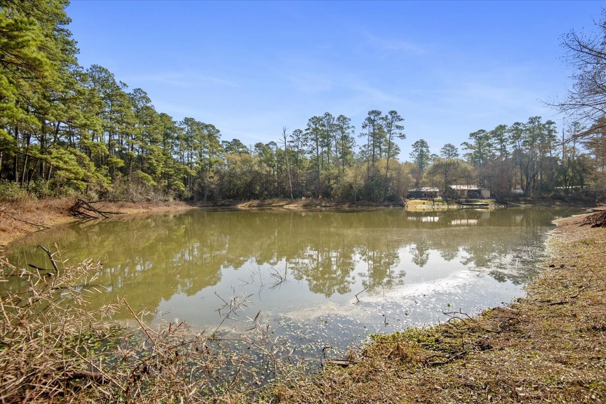 201 Rd Plantersville Tx 77363 Road Plantersville, TX 77363 - Photo 4 of 47 Subdivision Pond with walking trail