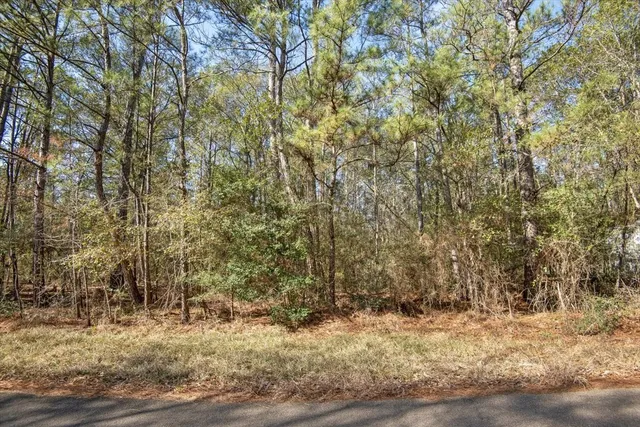 $2,350,000 | 201 Rd Plantersville Tx 77363 Road, Plantersville, TX 77363