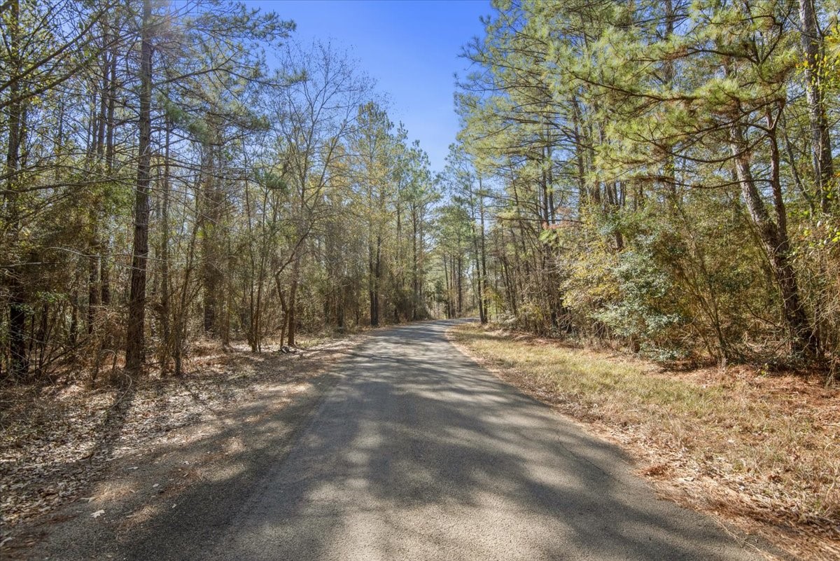 201 Rd Plantersville Tx 77363 Road Plantersville, TX 77363 - Photo 42 of 47