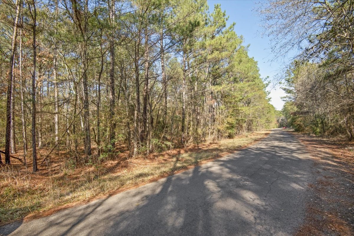 201 Rd Plantersville Tx 77363 Road Plantersville, TX 77363 - Photo 43 of 47