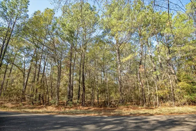 $2,350,000 | 201 Rd Plantersville Tx 77363 Road, Plantersville, TX 77363