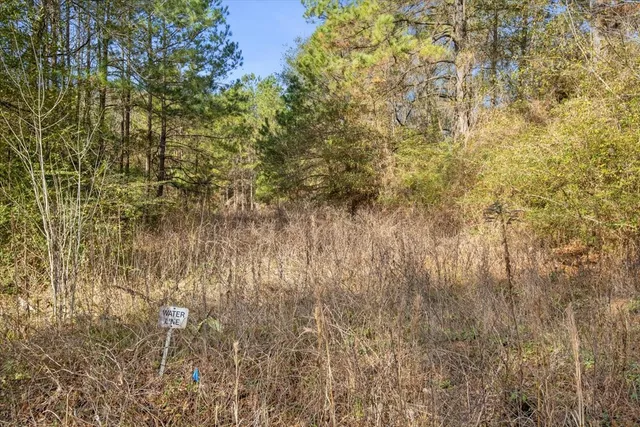 $2,350,000 | 201 Rd Plantersville Tx 77363 Road, Plantersville, TX 77363