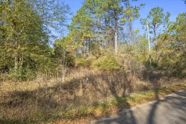 $2,350,000 | 201 Rd Plantersville Tx 77363 Road, Plantersville, TX 77363