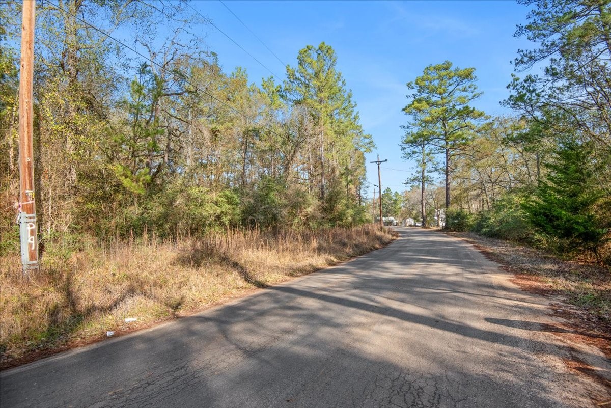201 Rd Plantersville Tx 77363 Road Plantersville, TX 77363 - Photo 10 of 47