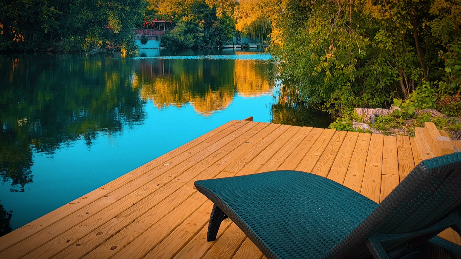 9666 Reding Circle Des Plaines, IL 60016 - Photo 23 of 54