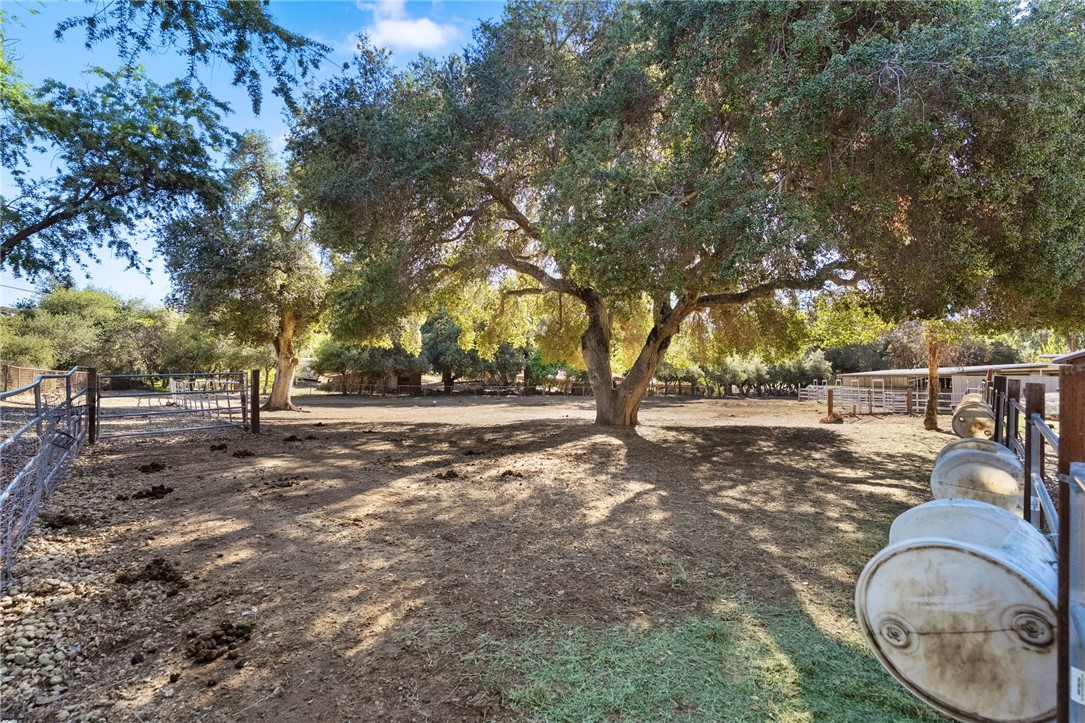 17705 Rodeo Road Lake Elsinore, CA 92530 - Photo 43 of 65 Back Pasture