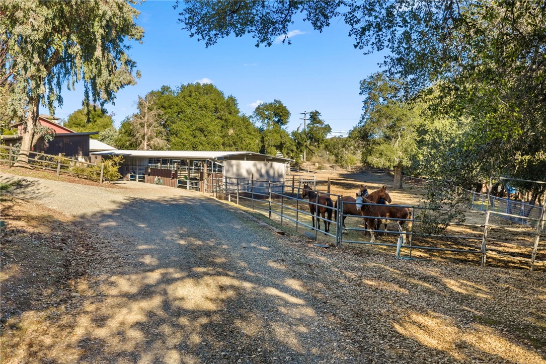 17705 Rodeo Road Lake Elsinore, CA 92530 - Photo 51 of 65 Rear Pasture with Pipe Stalls
