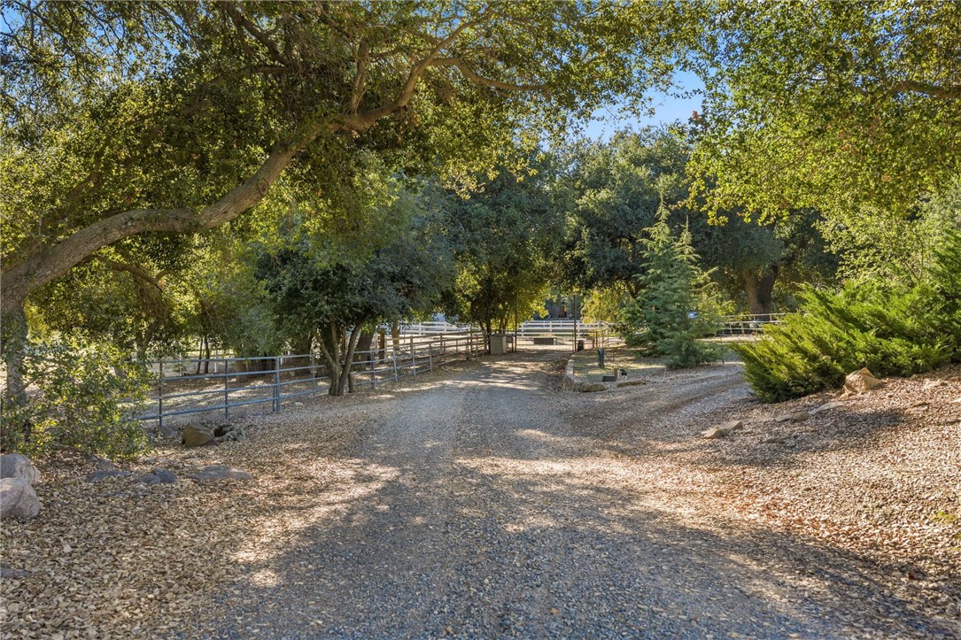 17705 Rodeo Road Lake Elsinore, CA 92530 - Photo 54 of 65 Driveway