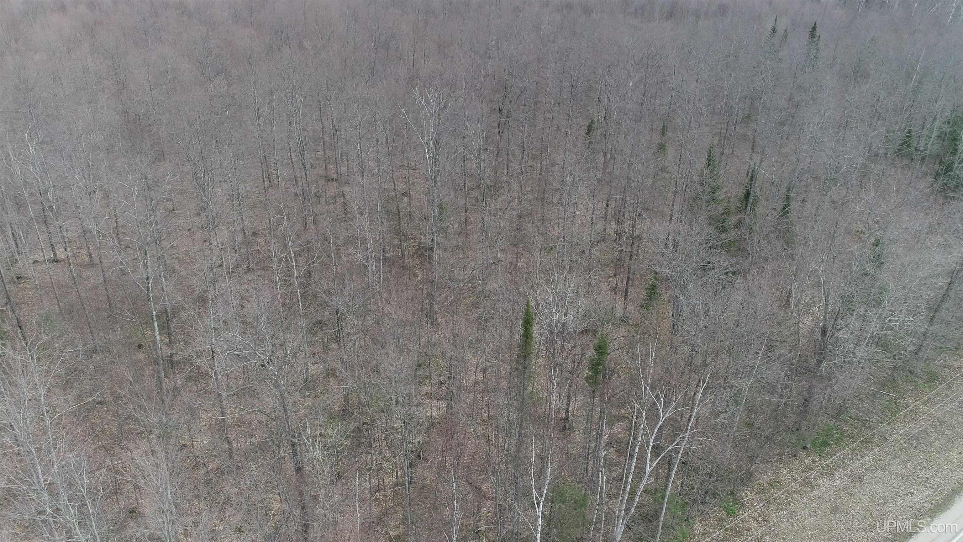 Parcel B County 433 Road Gulliver, MI 49840 - Photo 2 of 14
