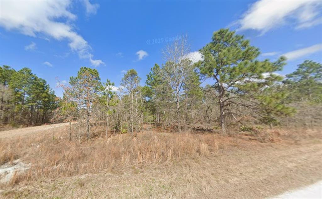 Force Road Weeki Wachee, FL 34614 - Photo 4 of 5 a view of a yard with a tree
