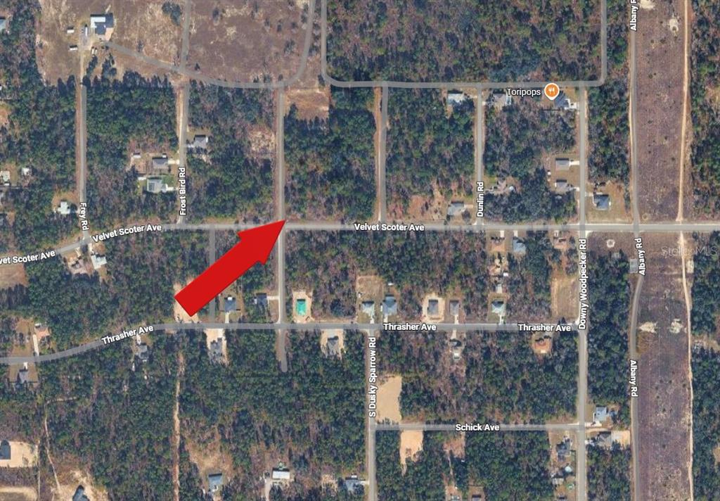 Force Road Weeki Wachee, FL 34614 - Photo 5 of 5