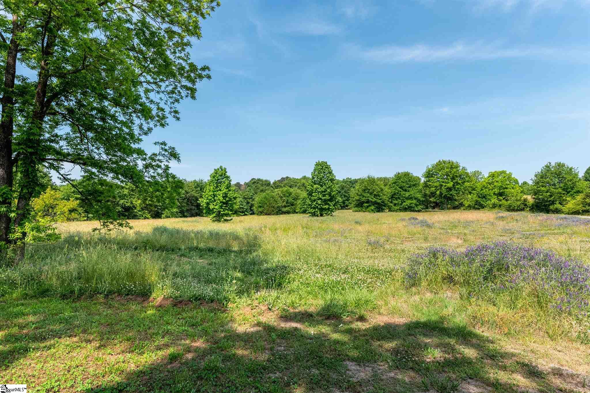 212 Barnett Road Campobello, SC 29322 - Photo 27 of 31