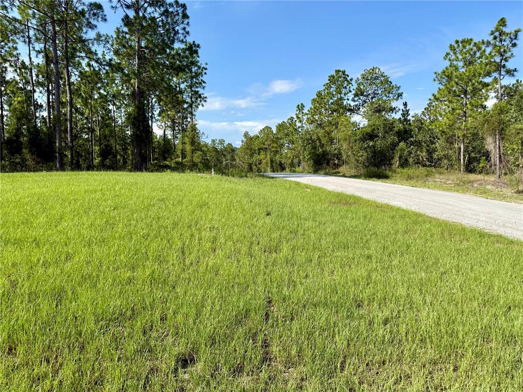 3039 Southwest Viburnum Road Dunnellon, FL 34431 - Photo 14 of 17 Gallery Image 14