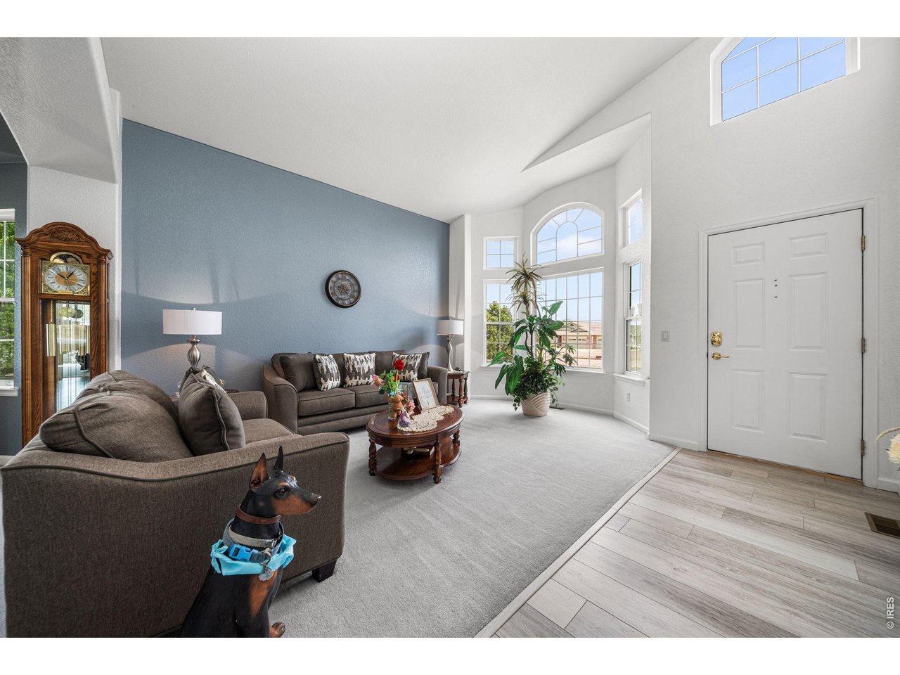 16645 Tree Haven Street Hudson, CO 80642 - Photo 3 of 38 Living Room with Lots of Natural Light
