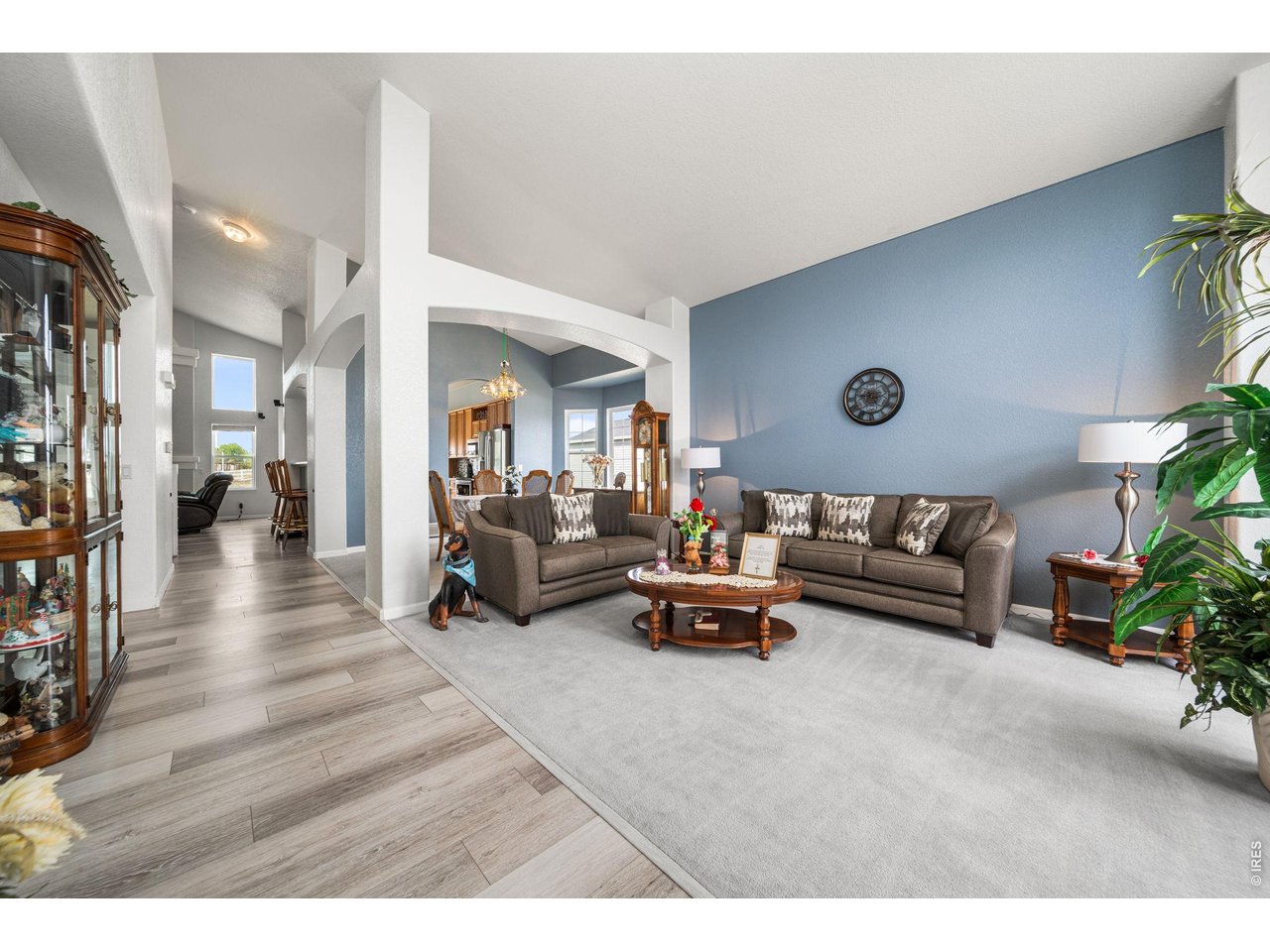 16645 Tree Haven Street Hudson, CO 80642 - Photo 4 of 38 Living Room