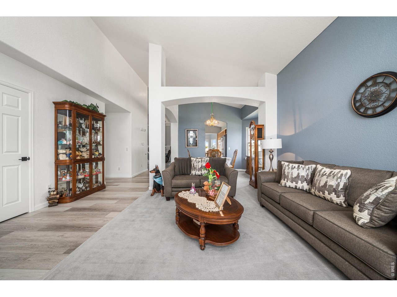16645 Tree Haven Street Hudson, CO 80642 - Photo 5 of 38 Living Room