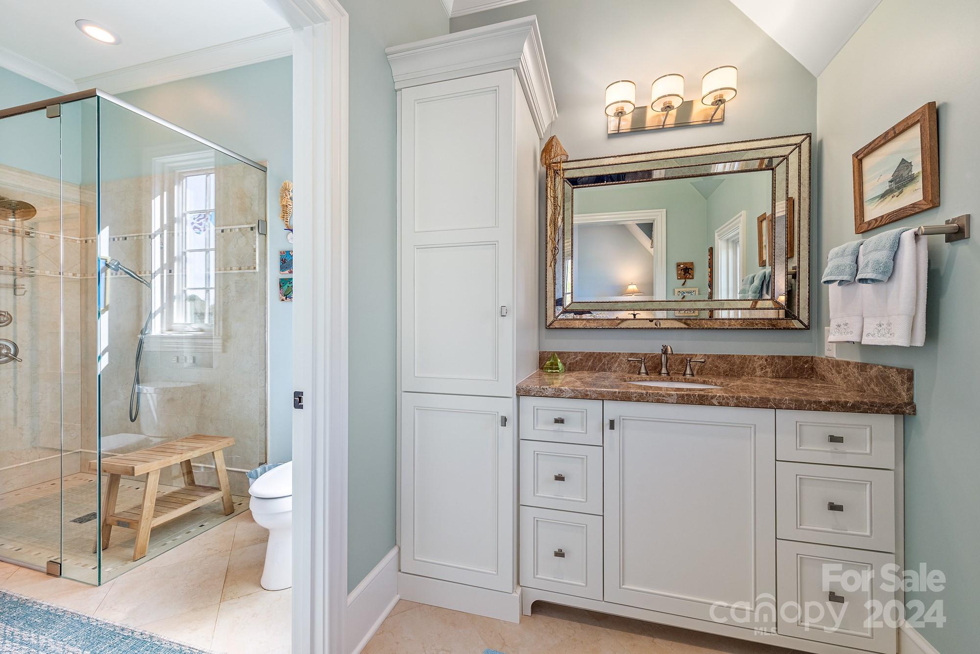 165 Timberside Drive Davidson, NC 28036 - Photo 44 of 48 a bathroom with a granite countertop sink and a mirror