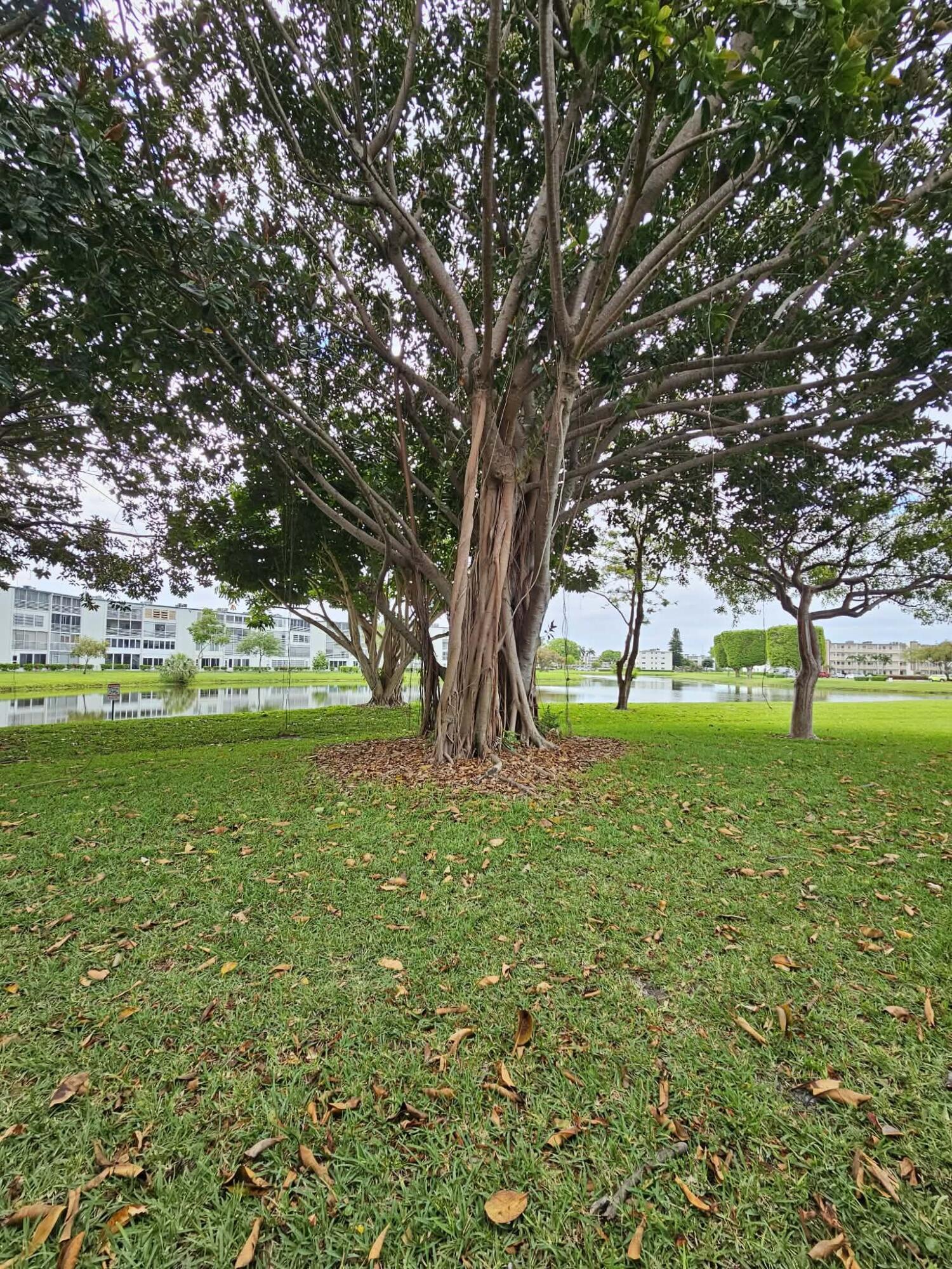 1039 Newcastle A Boca Raton, FL 33434 - Photo 38 of 40 36