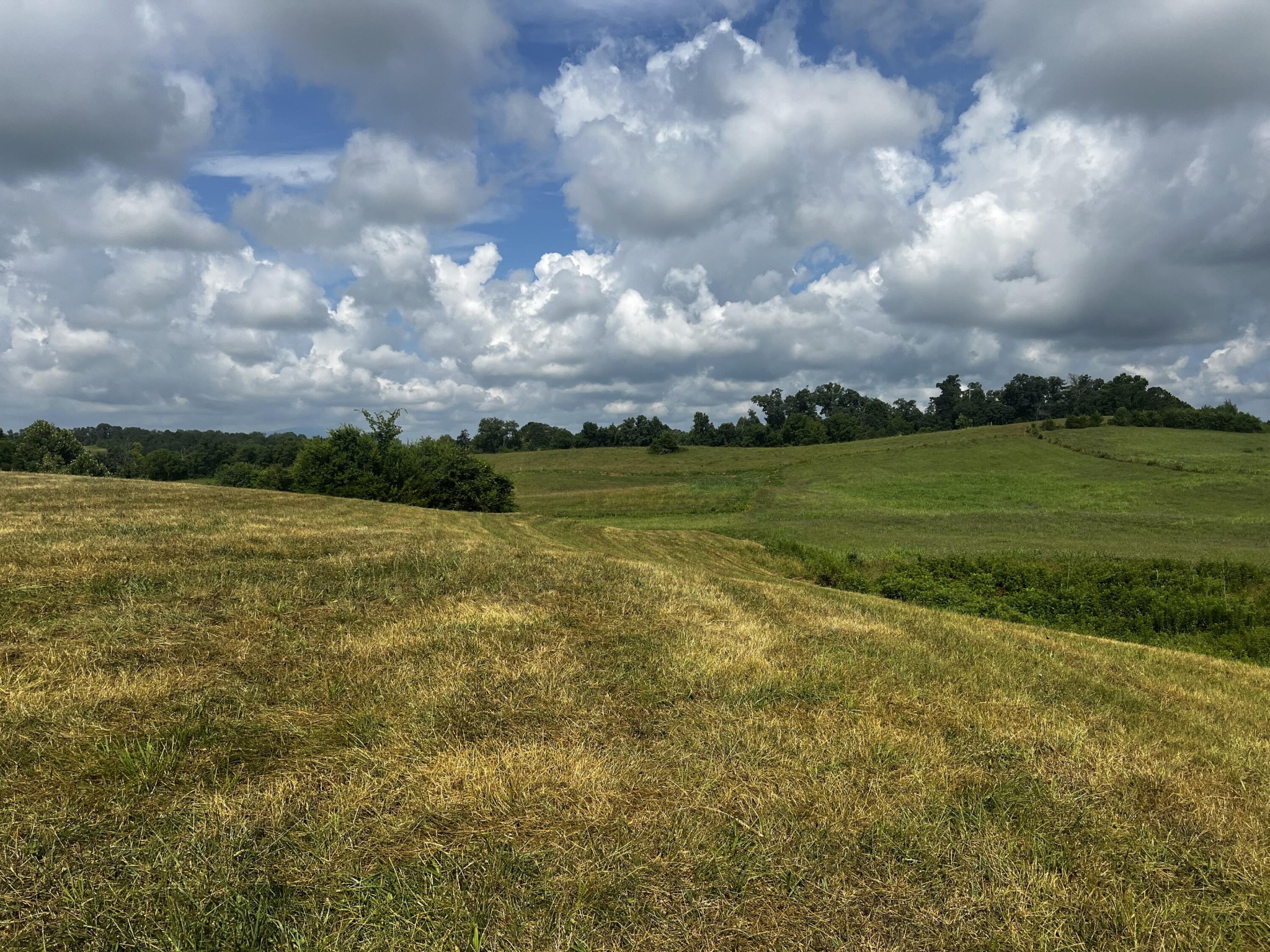 3 Sharp Road Sevierville, TN 37876 - Photo 3 of 21