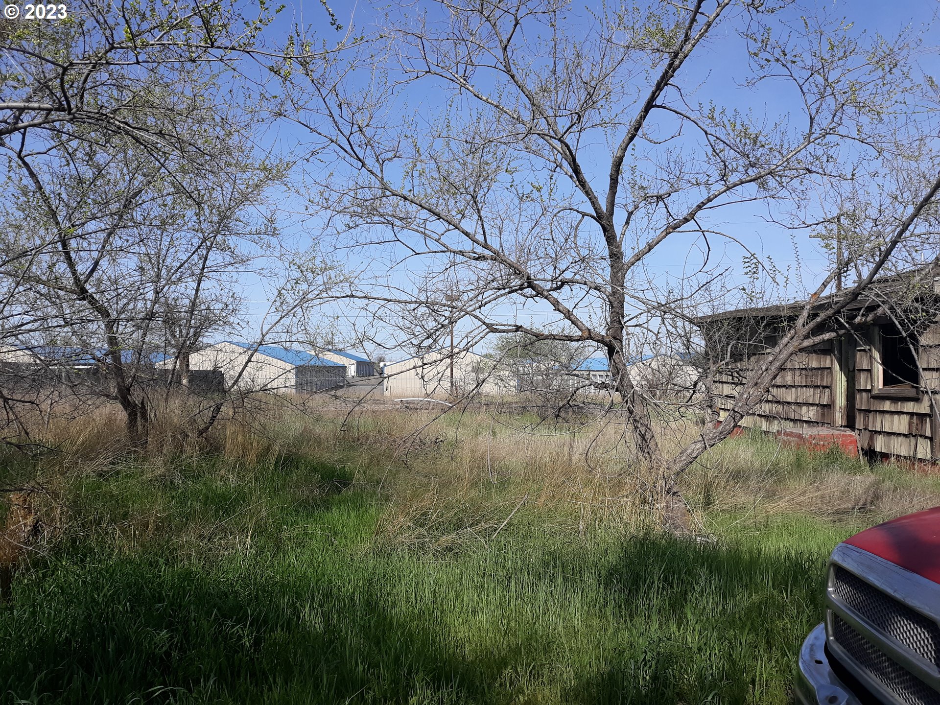 31040 Cecil Street Hermiston, OR 97838 - Photo 4 of 4 a backyard of a house with lots of green space