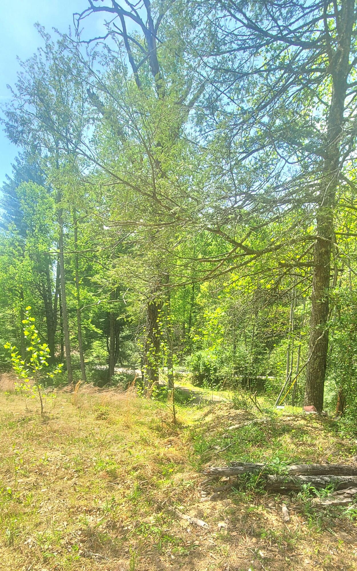 3219 Timberview Road Roanoke, VA 24019 - Photo 8 of 8 8
