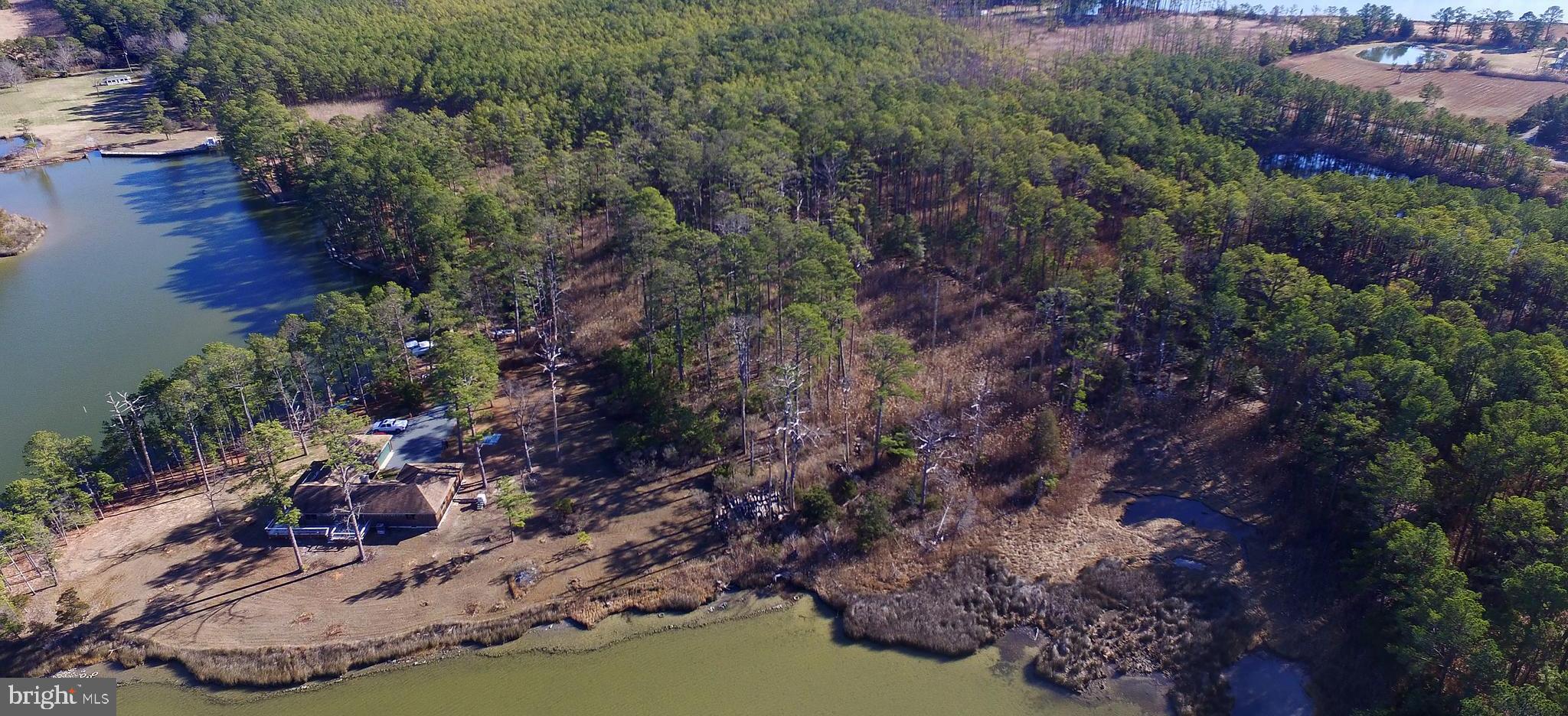 1120 Ross Thumb Road Cambridge, MD 21613 - Photo 43 of 71 Lake Thumb, top right corner, serves as the BIP