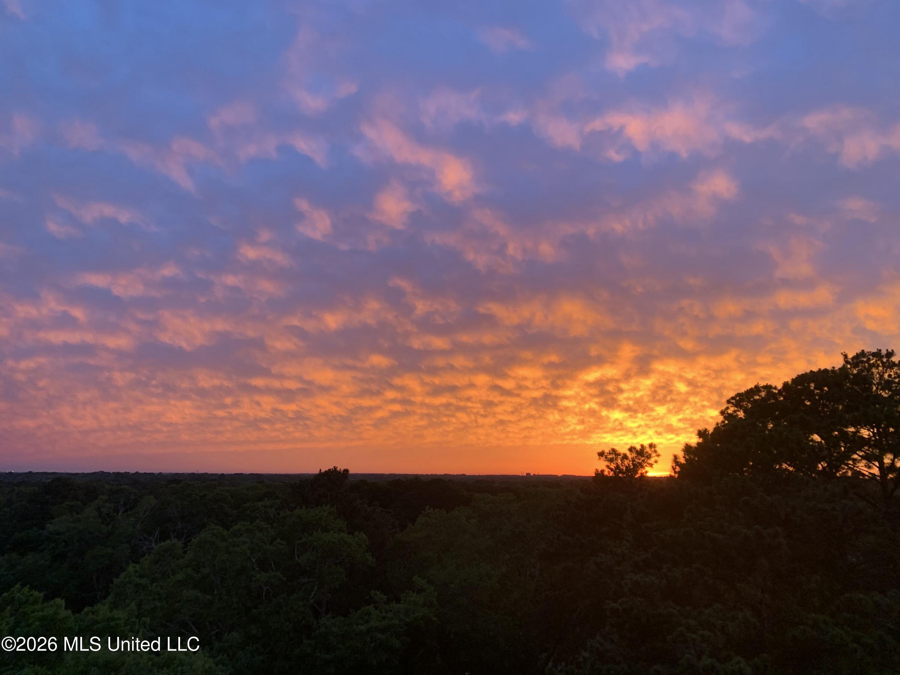 1200 Meadowbrook Road, Unit 19 Jackson, MS 39206 - Photo 47 of 51 E29BD7D8-CC5B-4648-BB0D-2801FEEE8F9A