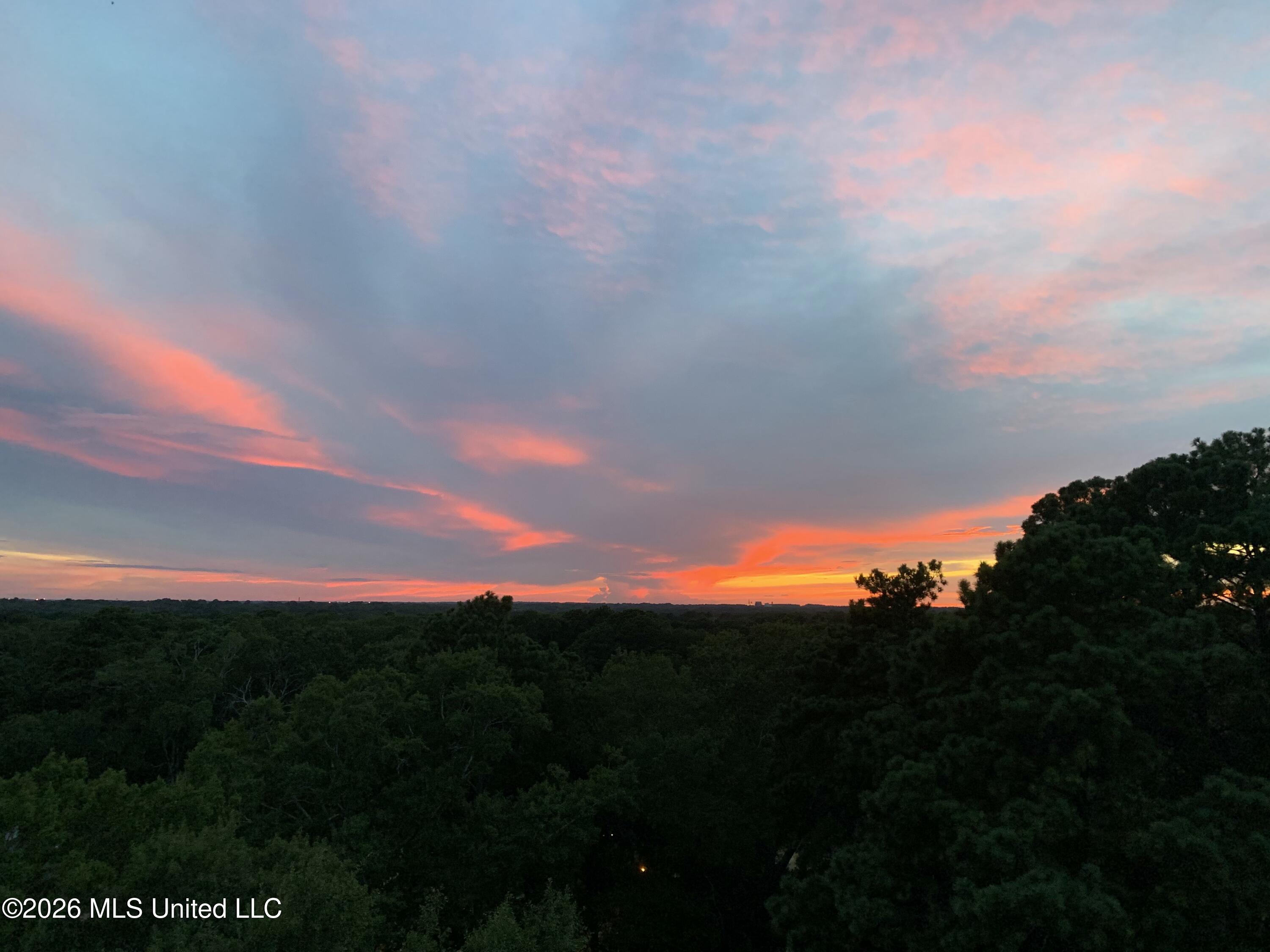 1200 Meadowbrook Road, Unit 19 Jackson, MS 39206 - Photo 49 of 51 IMG_3988