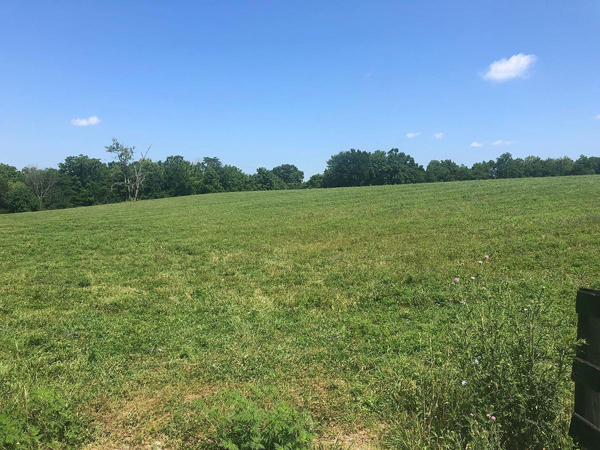1081 Stoney Point Road Paris, KY 40361 - Photo 4 of 8 Photo 4