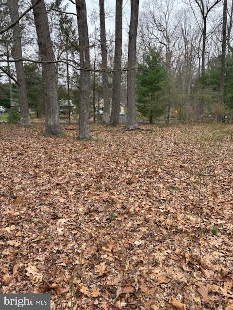 1716 Snyder Road Green Lane, PA 18054 - Photo 4 of 7
