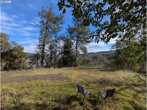 a view of a yard with a tree