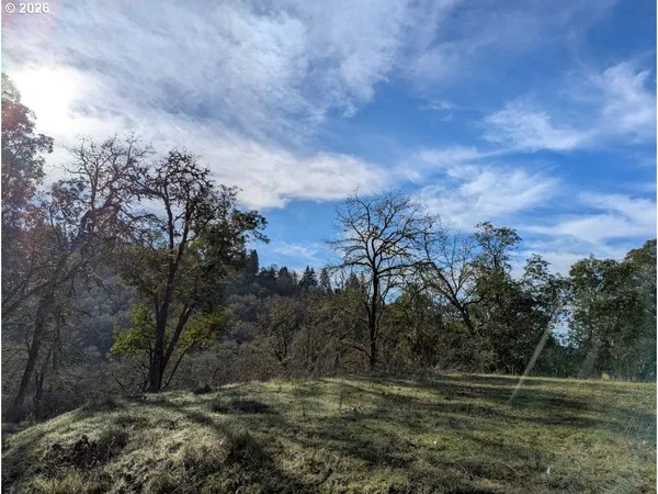 a view of a field with trees