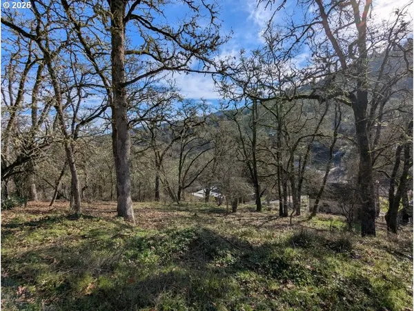 a view of outdoor space with lots of trees