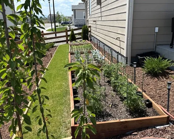 a view of a yard with plants