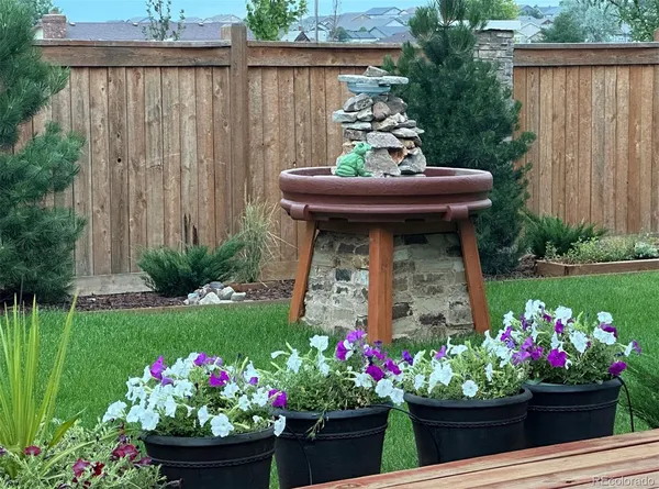 a view of a flower garden with a chair
